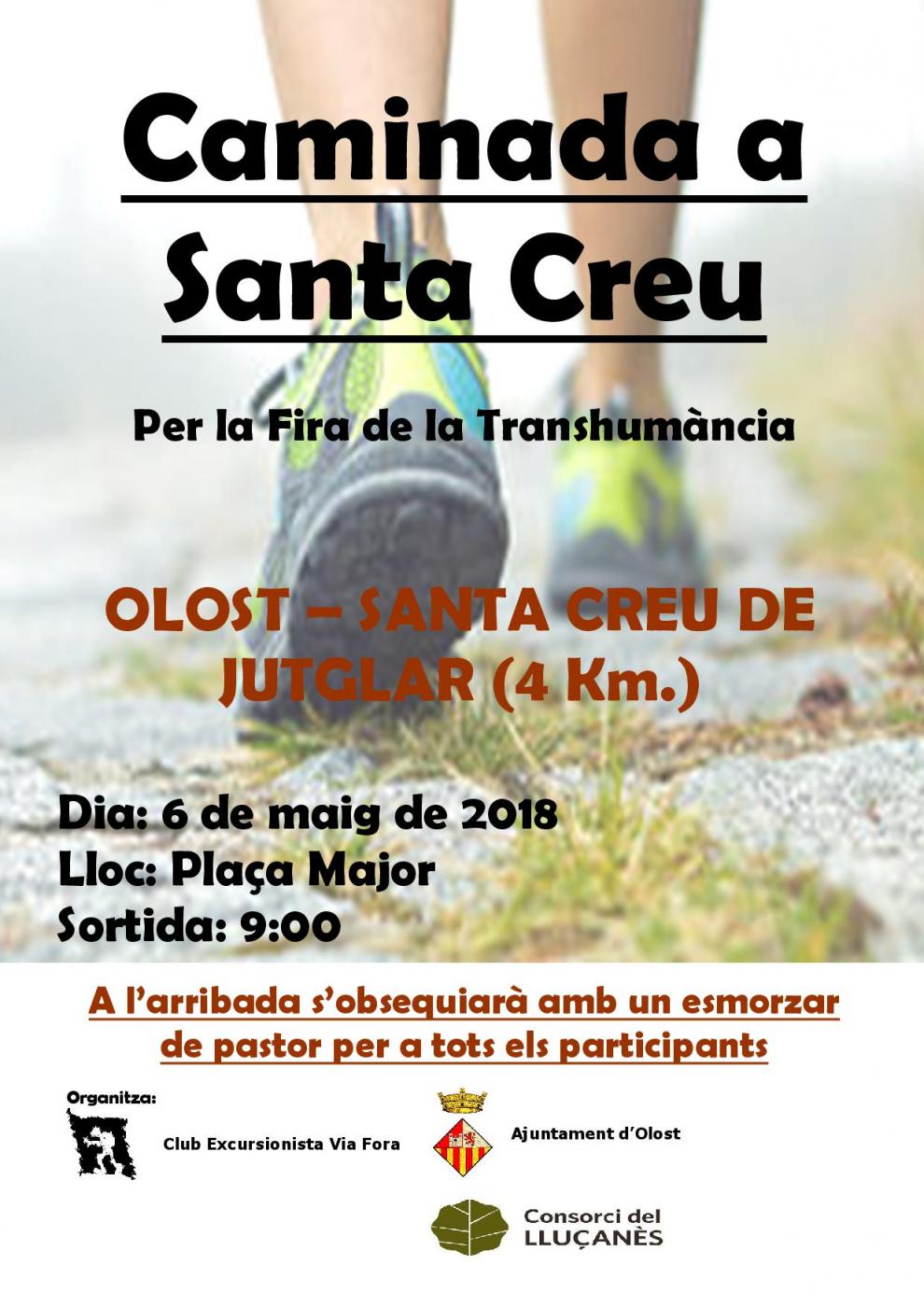 Caminada a la Fira de Transhumància de Santa Creu de Jutglar